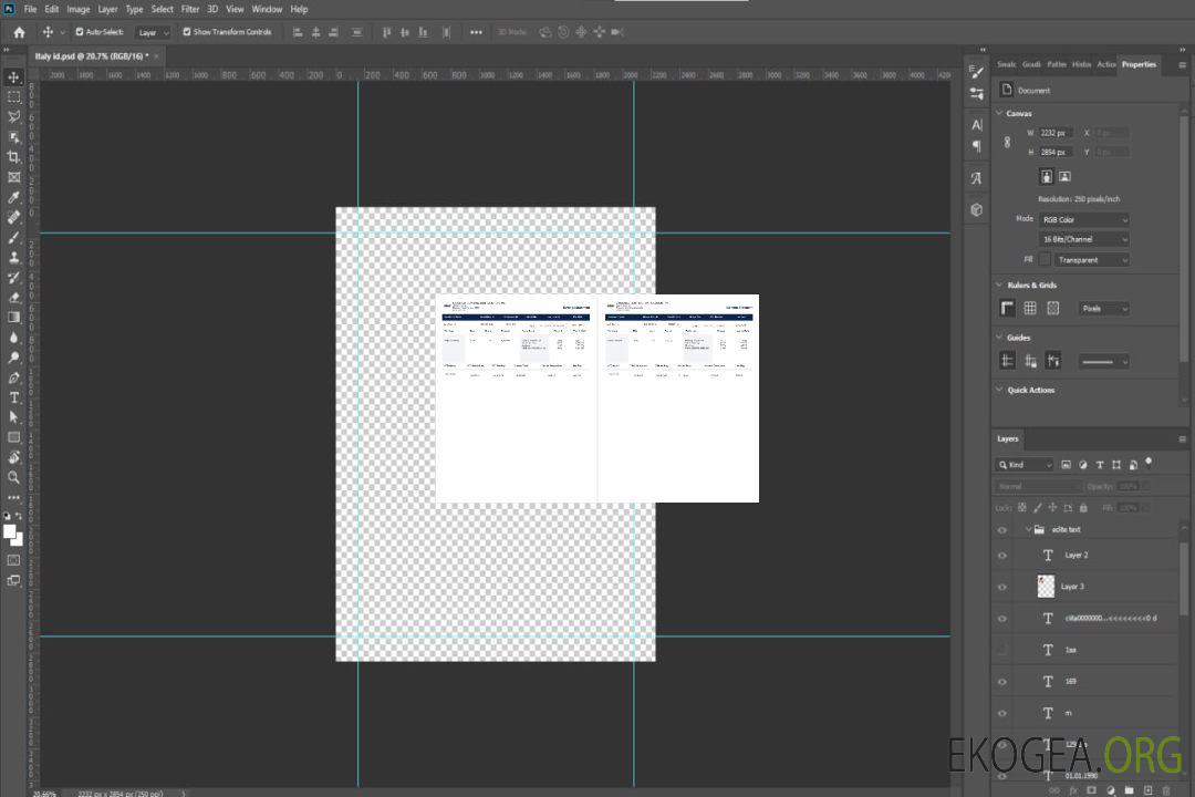 Talon de paie Carolinas Construction Solutions template